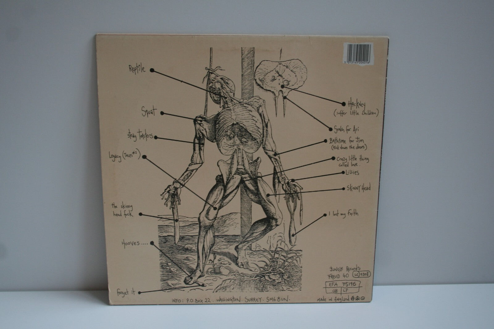 Image #3