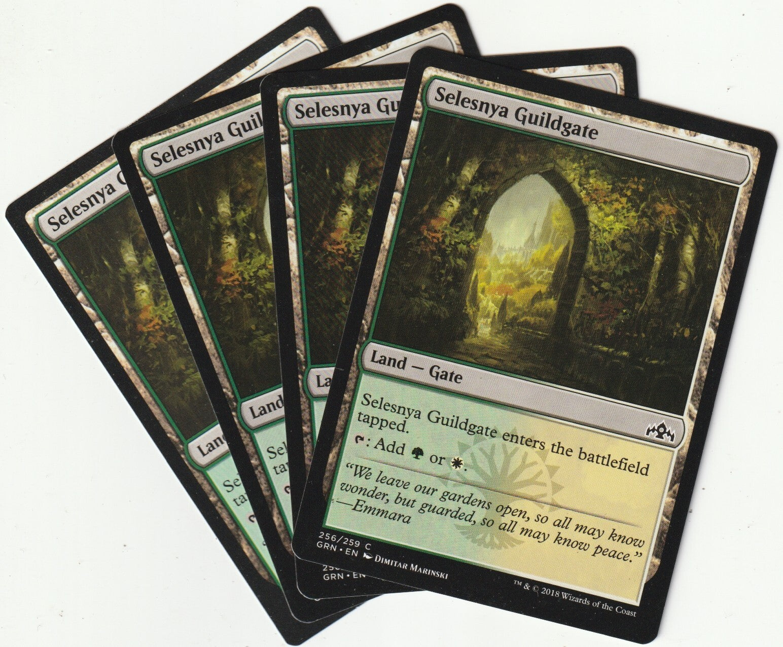 Image #1