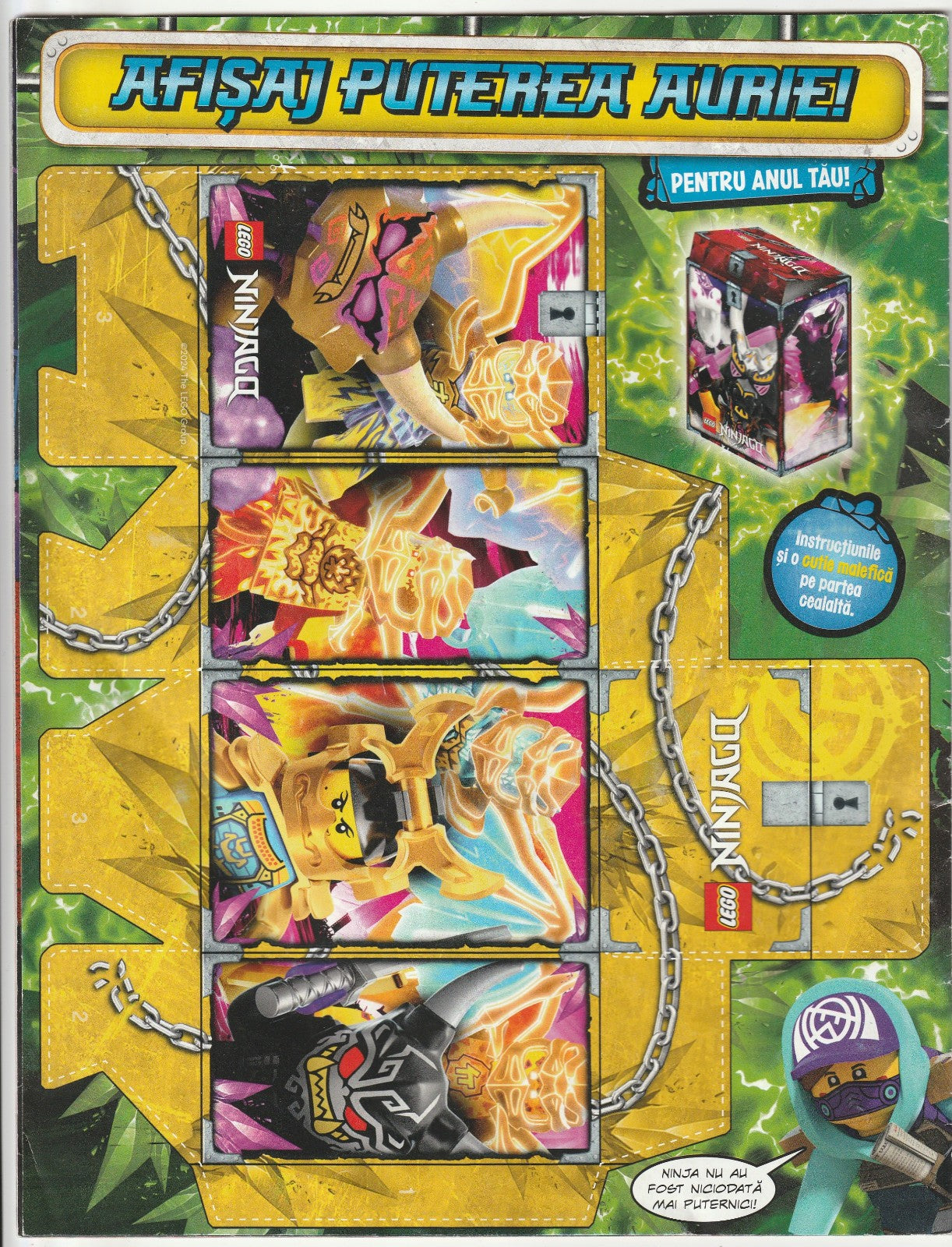 Image #3