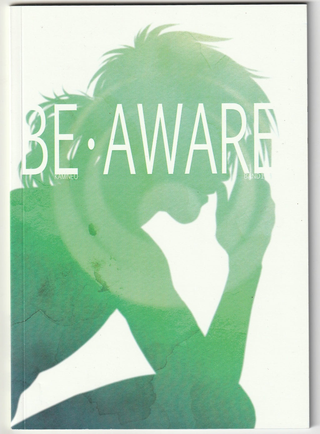 Image #1